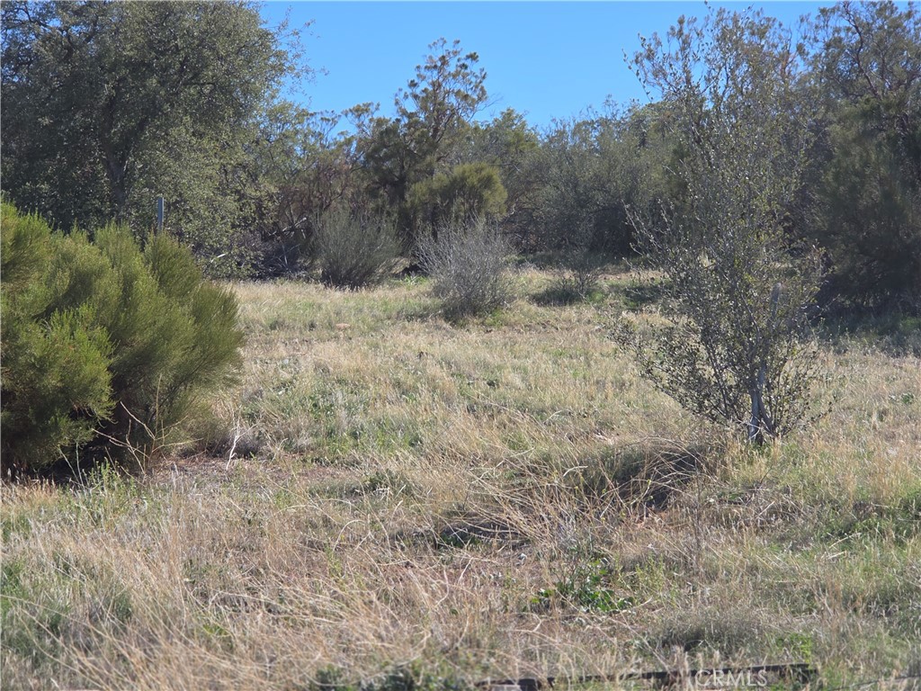 0 Taron Trail Anza, CA 92539 - Photo 2 of 14