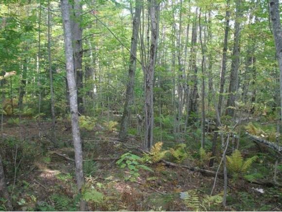 0 Upper Mad River Road, Unit 7 Thornton, NH 03285 - Photo 2 of 6