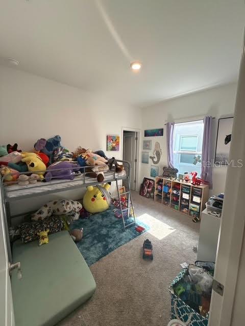 10607 Ladybug Cove Parrish, FL 34219 - Photo 14 of 25