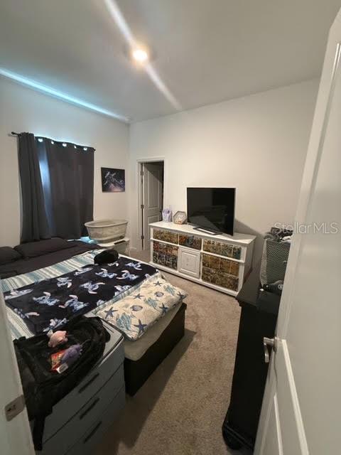 10607 Ladybug Cove Parrish, FL 34219 - Photo 16 of 25