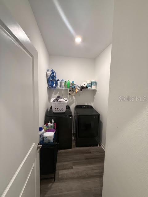 10607 Ladybug Cove Parrish, FL 34219 - Photo 19 of 25