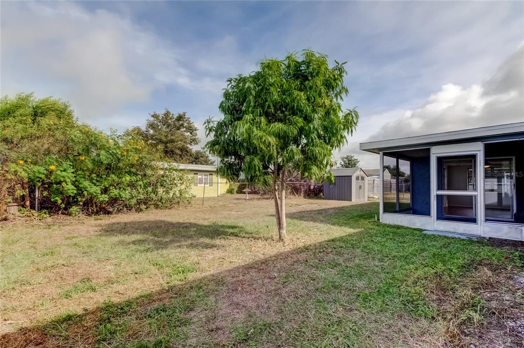 5753 Bantam Avenue New Port Richey, FL 34652 - Photo 44 of 47 a view of a house with backyard and a tree