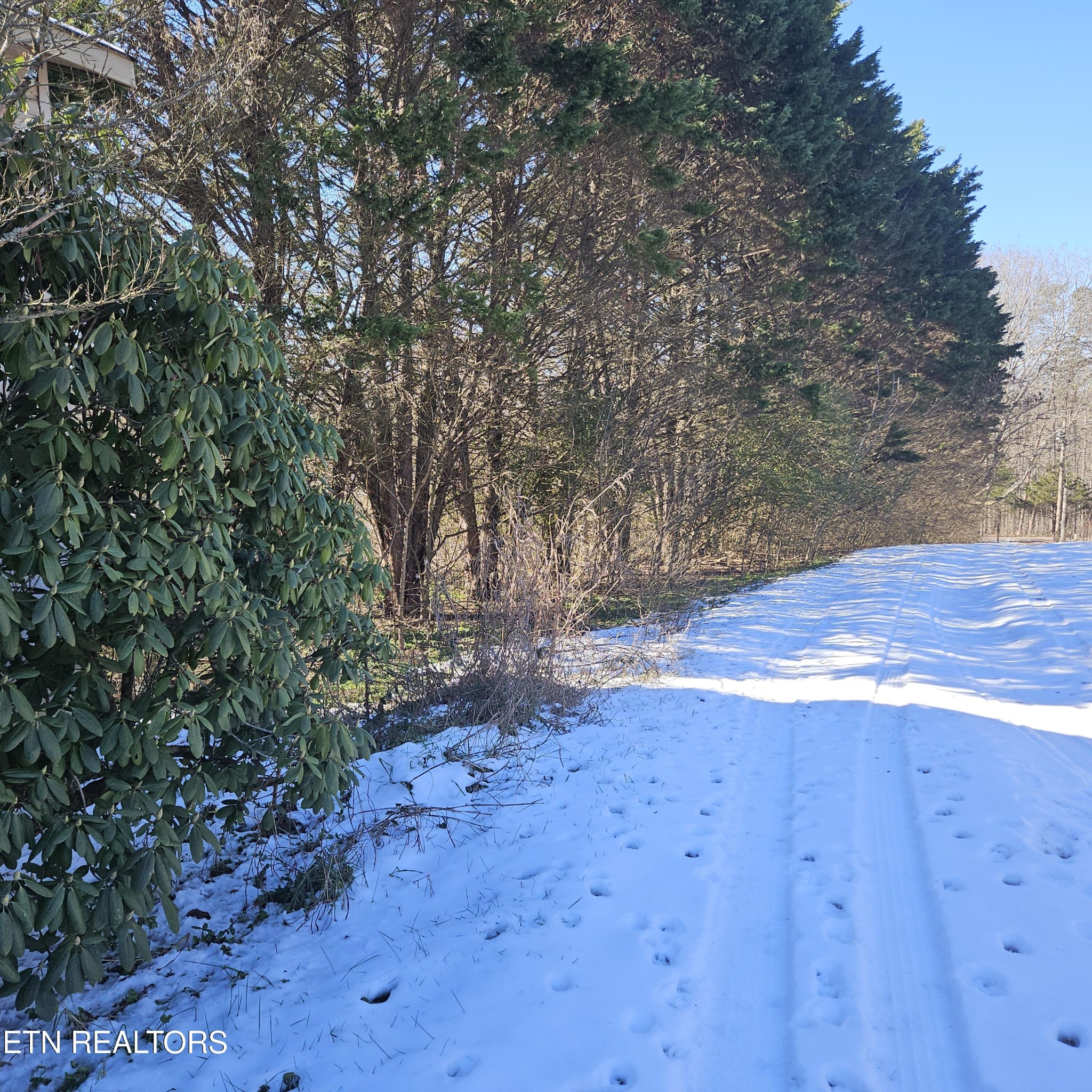 1145 Cloyds Church Road Greenback, TN 37742 - Photo 12 of 37 Gallery Image 12