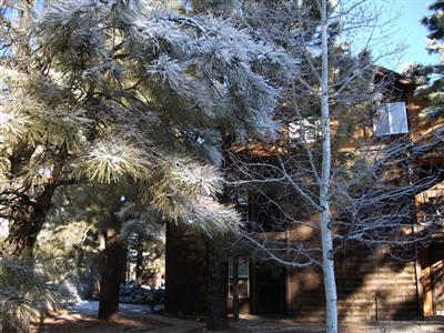 1200 South Riordan Ranch Street, Unit 132 Flagstaff, AZ 86001 - Photo 1 of 1 Primary Photo