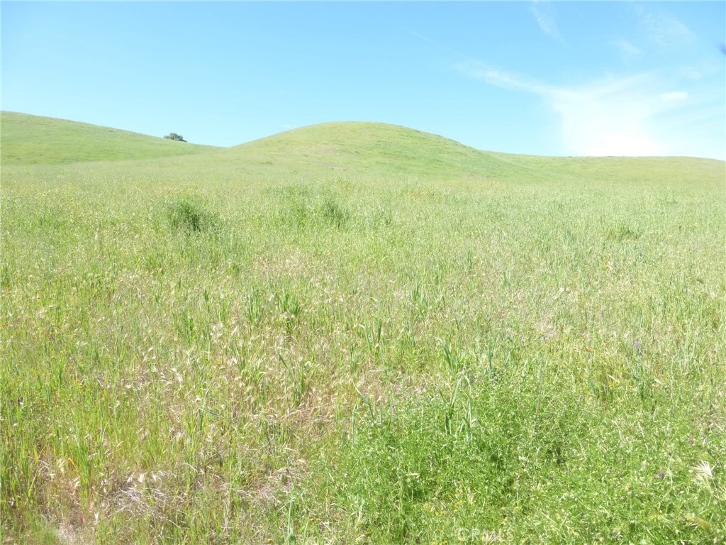 0 Douglas Road San Miguel, CA 93451 - Photo 38 of 44
