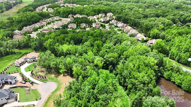 a view of a garden with plants