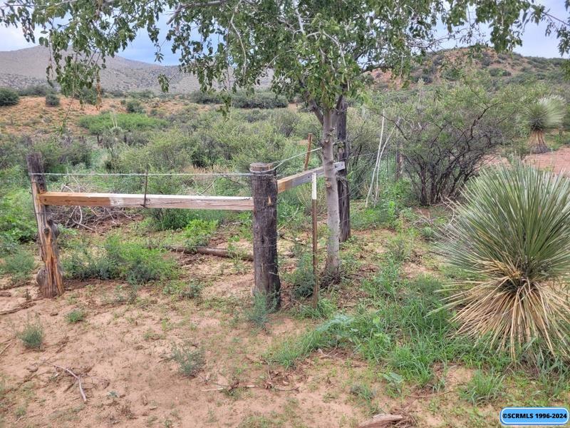Xx Burro Springs Road Silver City, NM 88061 - Photo 1 of 1 Gallery Image 1