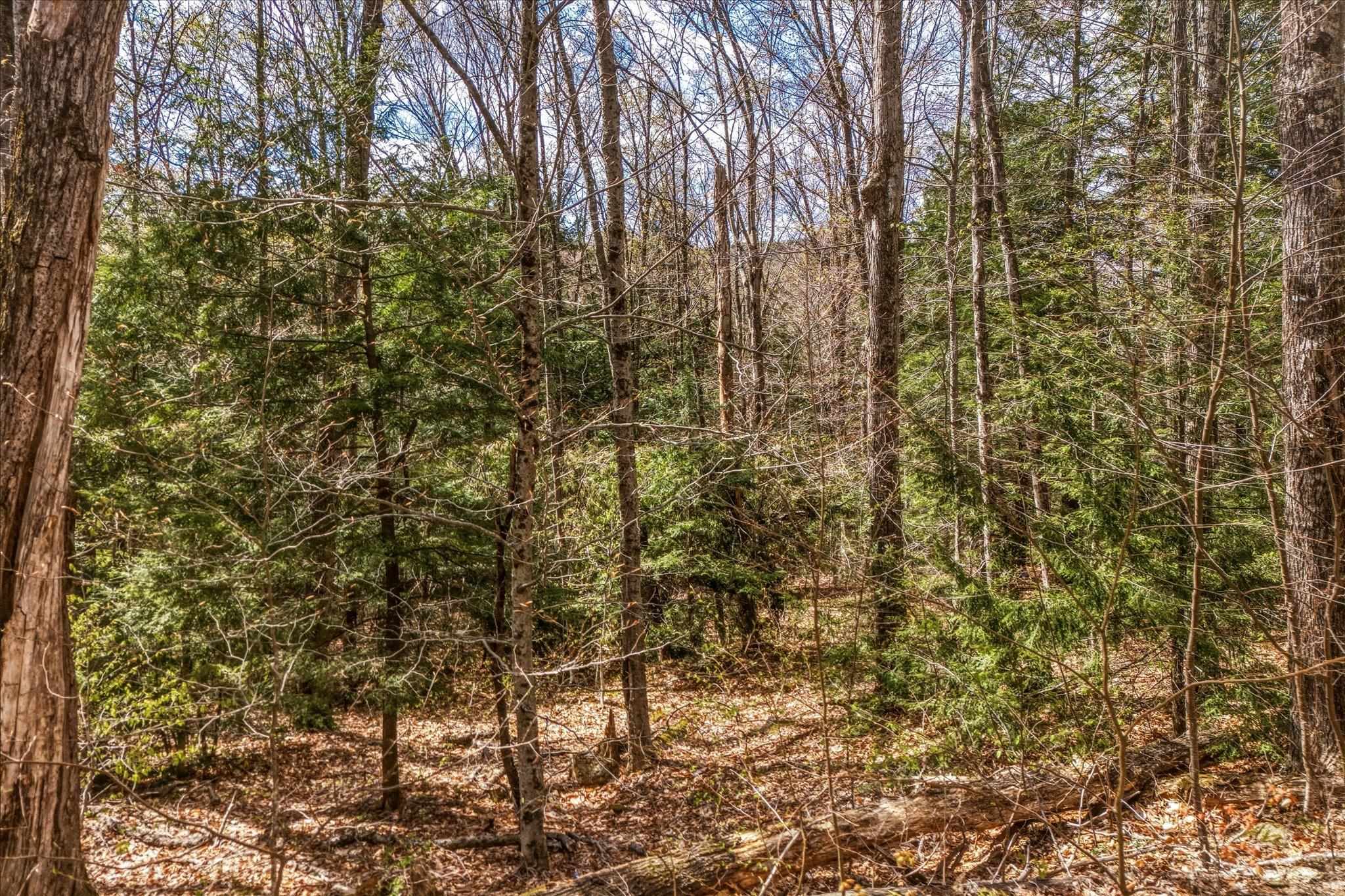 0 East Hill Road Townshend, VT 05353 - Photo 9 of 19