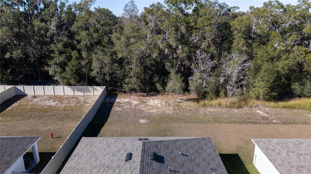 11272 Southeast 67th Circle Belleview, FL 34420 - Photo 23 of 24 a view of a backyard