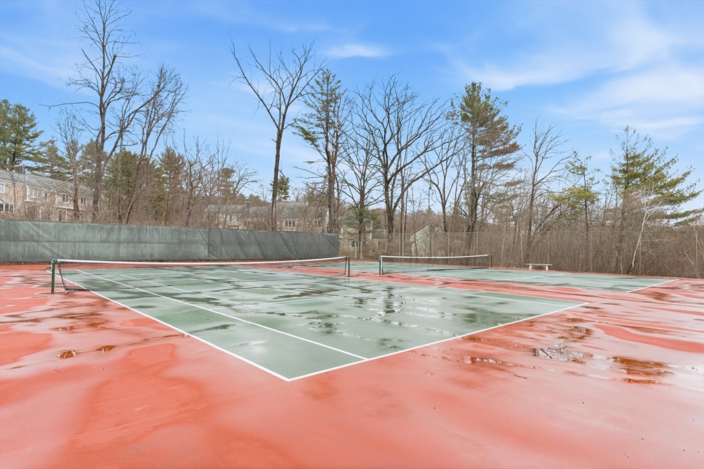 4 Drummer Boy Way, Unit 4 Lexington, MA 02420 - Photo 35 of 37 a view of a backyard space with trees
