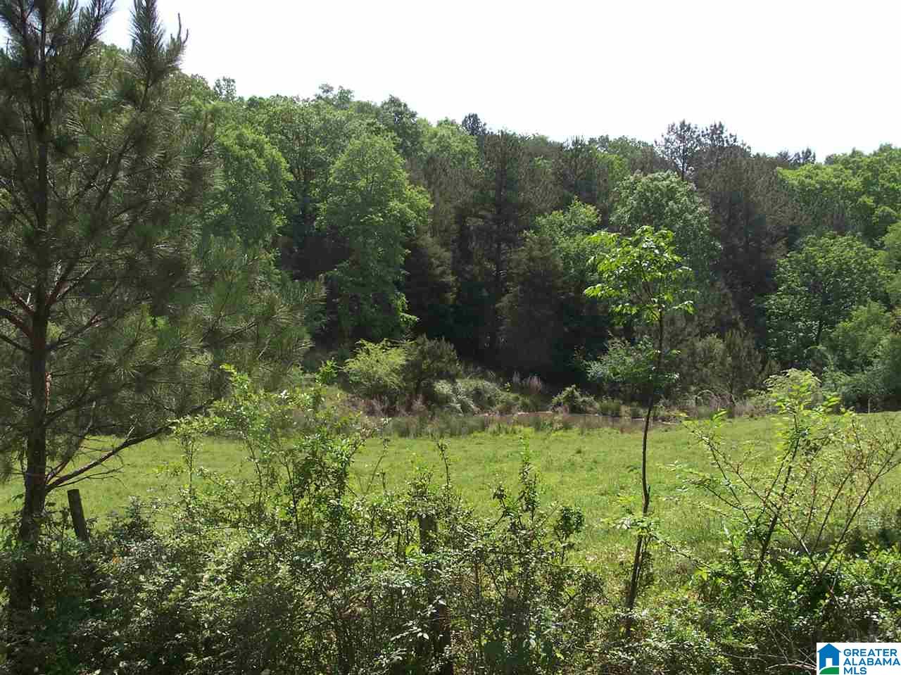 2270 Elvester Road Warrior, AL 35180 - Photo 22 of 31