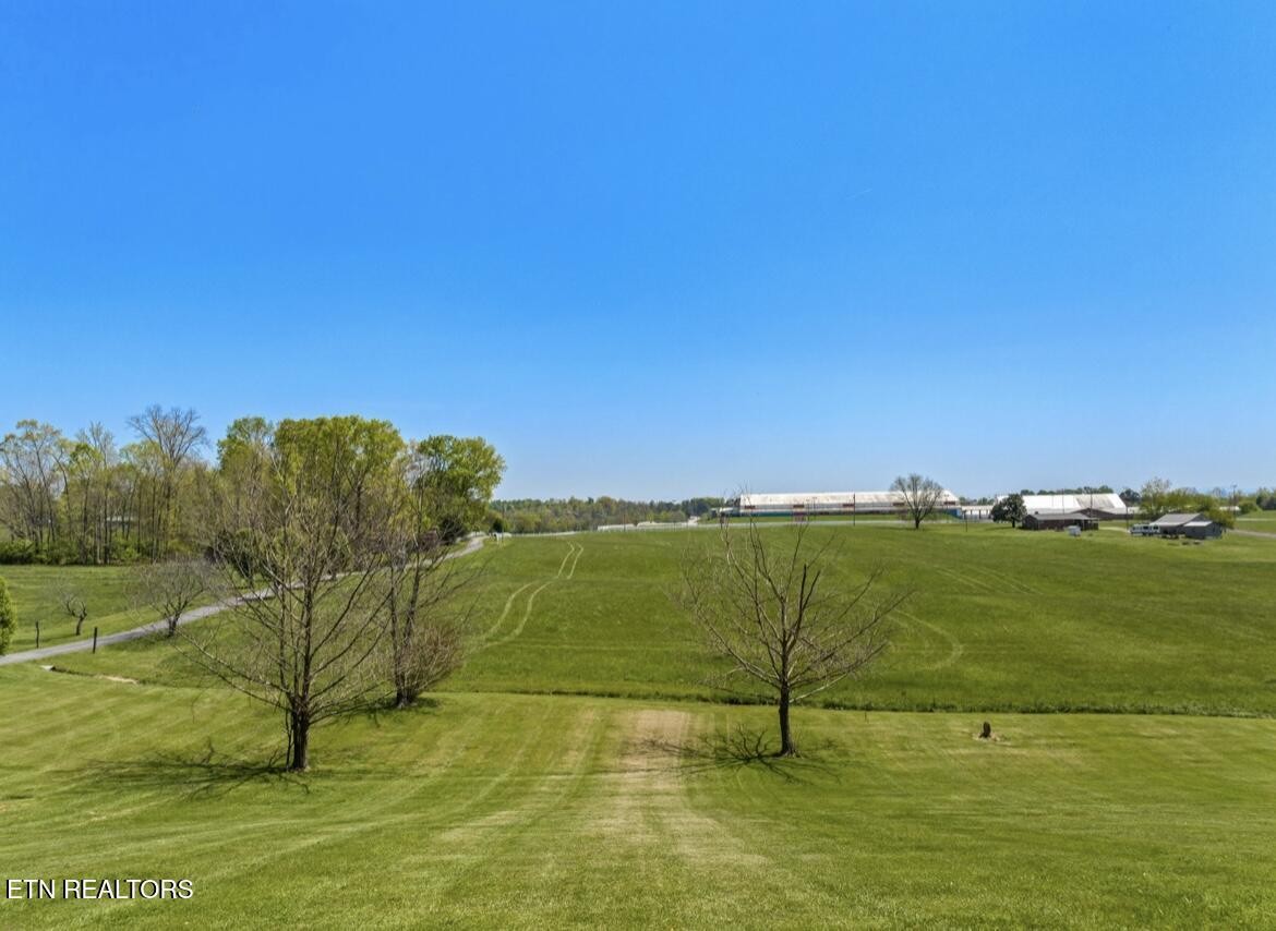 2041 Witt Road White Pine, TN 37890 - Photo 27 of 49