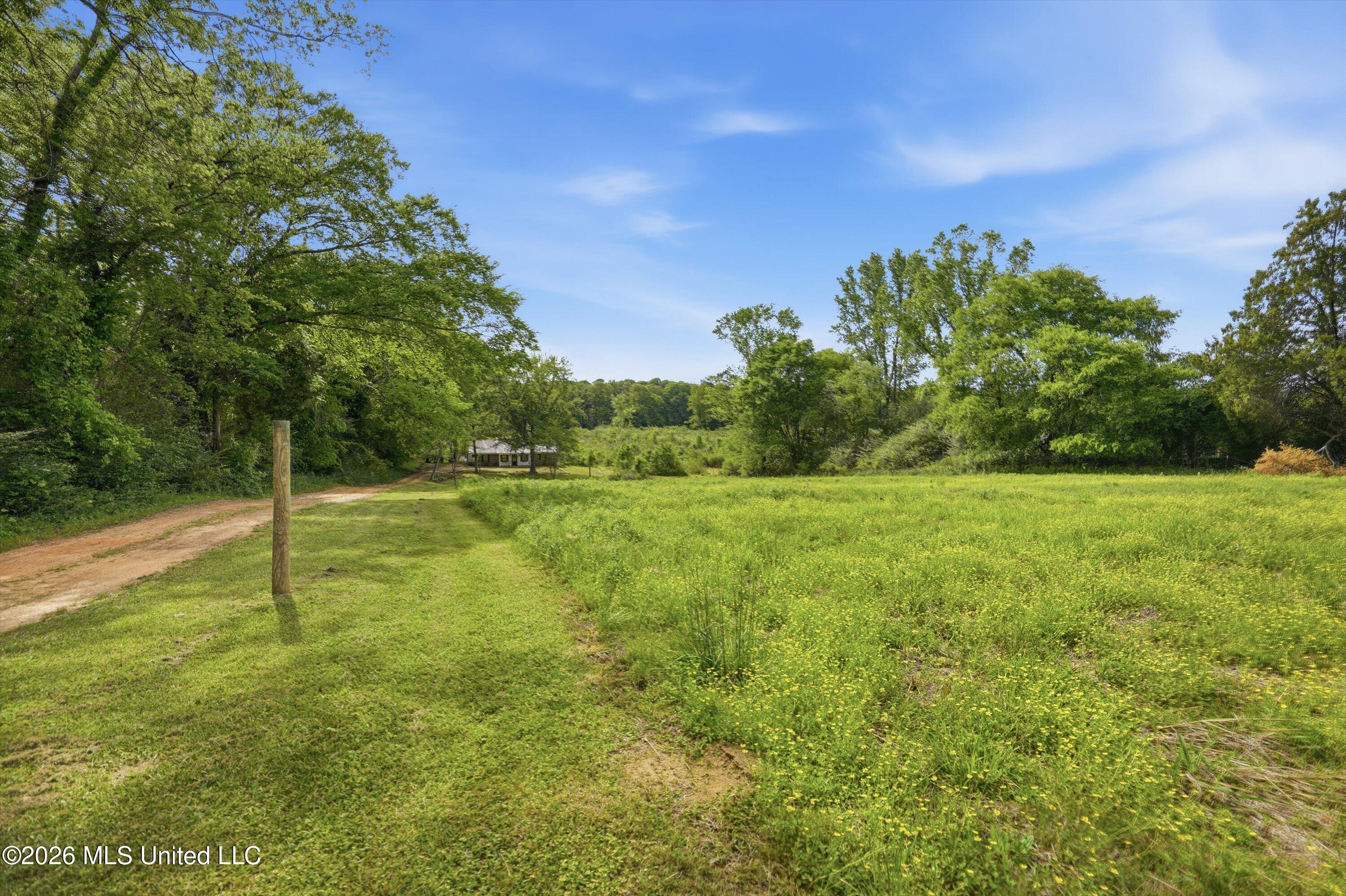 1710 Pigg Town Road Lena, MS 39094 - Photo 33 of 41 42-1710_Pigg_Town_Rd_042