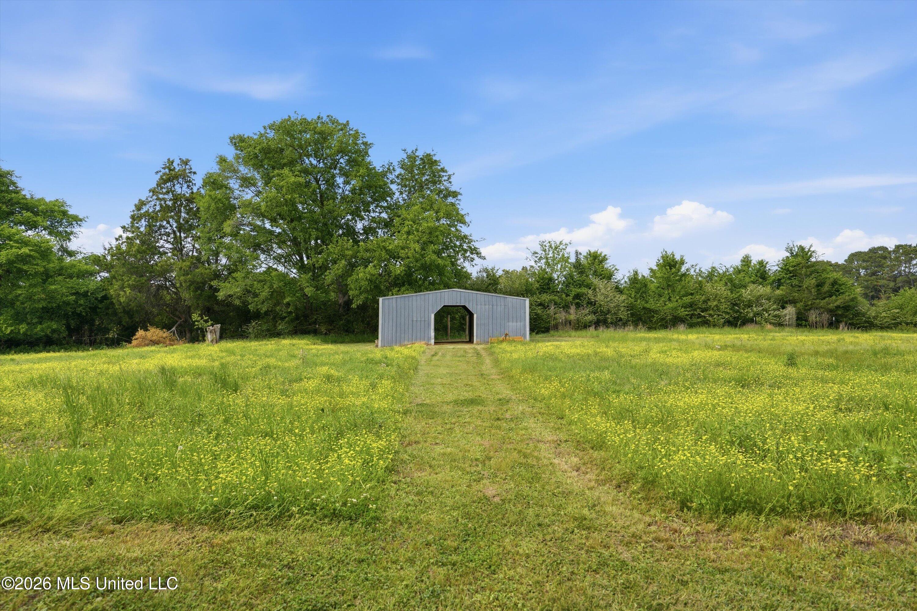1710 Pigg Town Road Lena, MS 39094 - Photo 36 of 41 37-1710_Pigg_Town_Rd_037