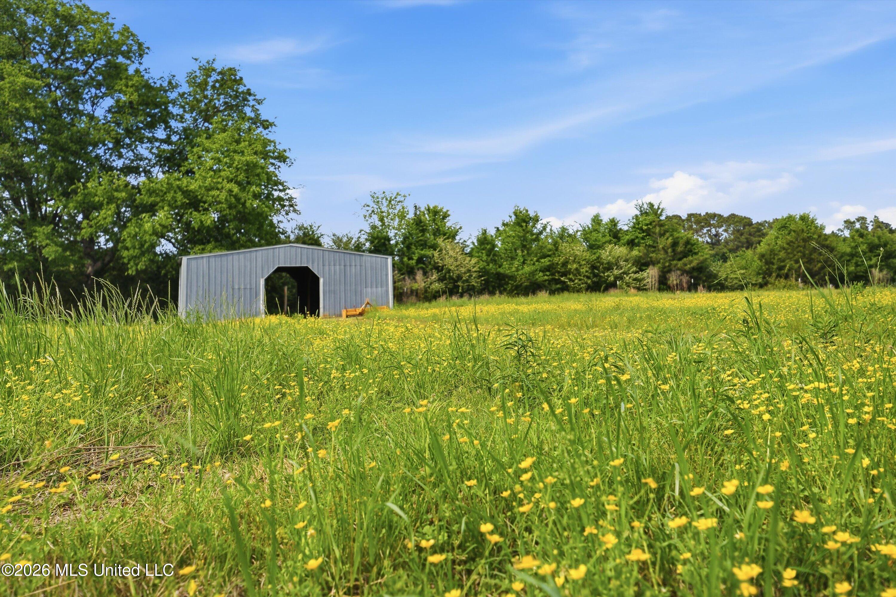 1710 Pigg Town Road Lena, MS 39094 - Photo 37 of 41 38-1710_Pigg_Town_Rd_038