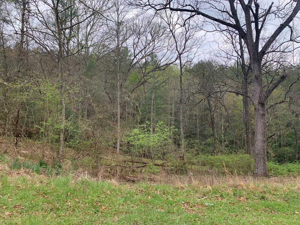0 River Mountain Road Murphy, NC 28906 - Photo 1 of 1 Main View