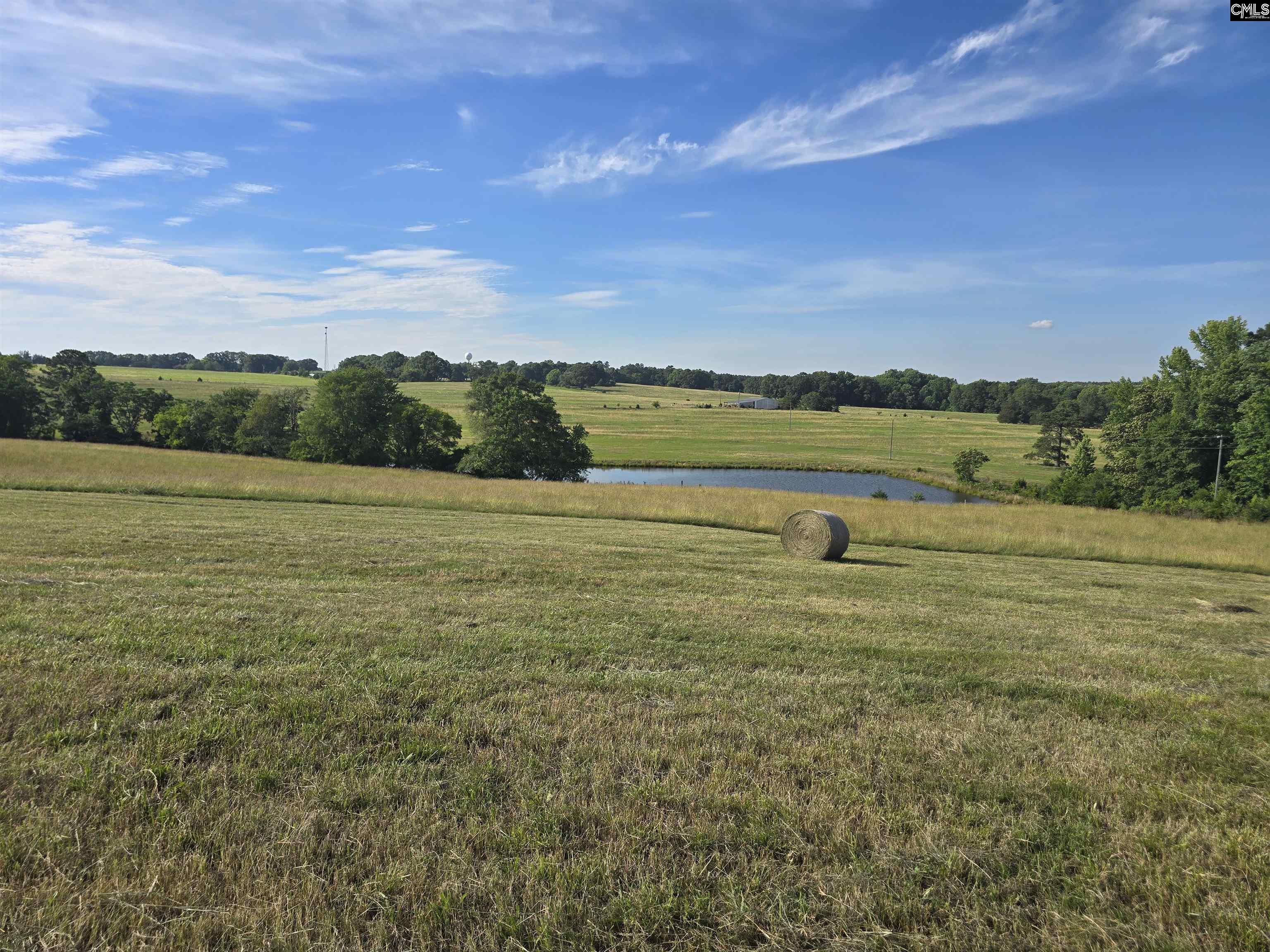 542 Pea Ridge Highway Jonesville, SC 29353 - Photo 61 of 72