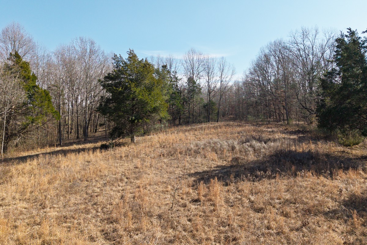 782 B New Deal Potts Road Cottontown, TN 37048 - Photo 14 of 21 a view of a yard with trees in the background