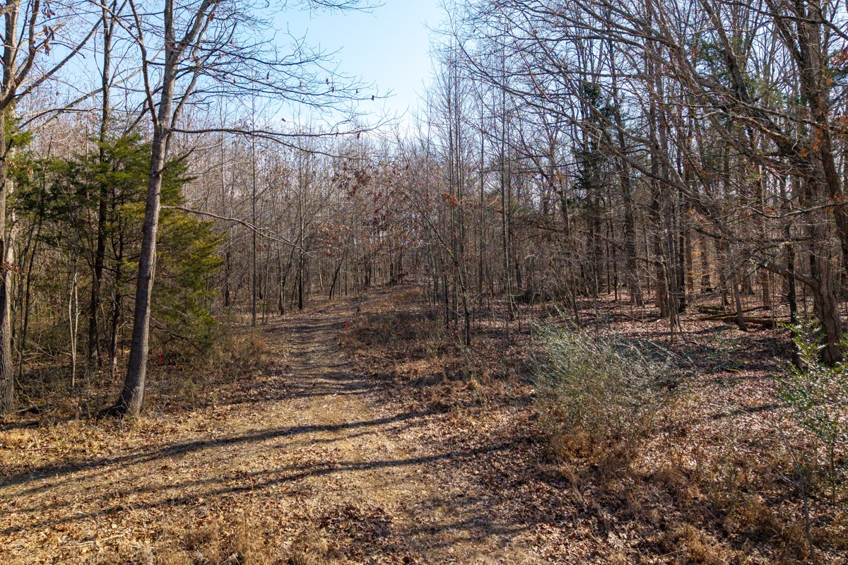 782 B New Deal Potts Road Cottontown, TN 37048 - Photo 15 of 21 a view of a yard with trees