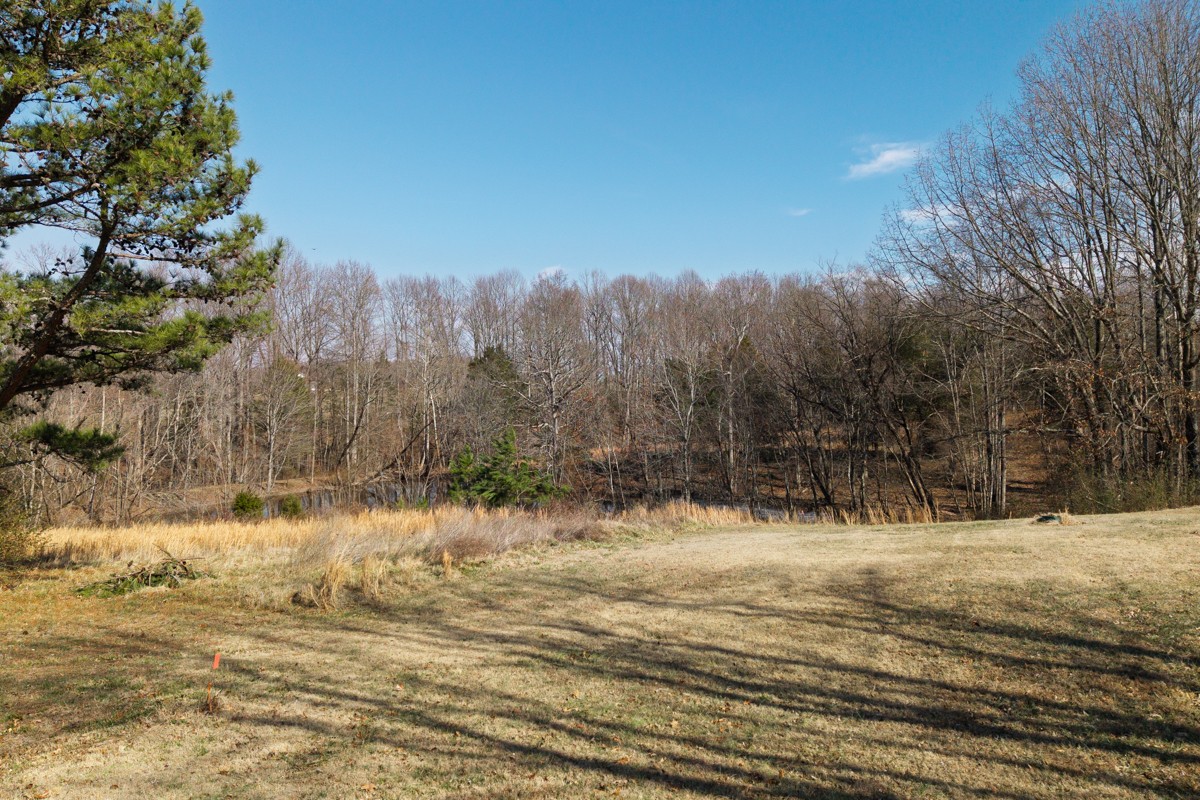 782 B New Deal Potts Road Cottontown, TN 37048 - Photo 16 of 21 a view of yard covered with snow