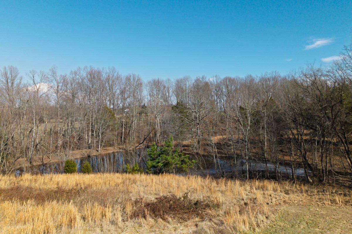 782 B New Deal Potts Road Cottontown, TN 37048 - Photo 17 of 21 a view of a yard with a house