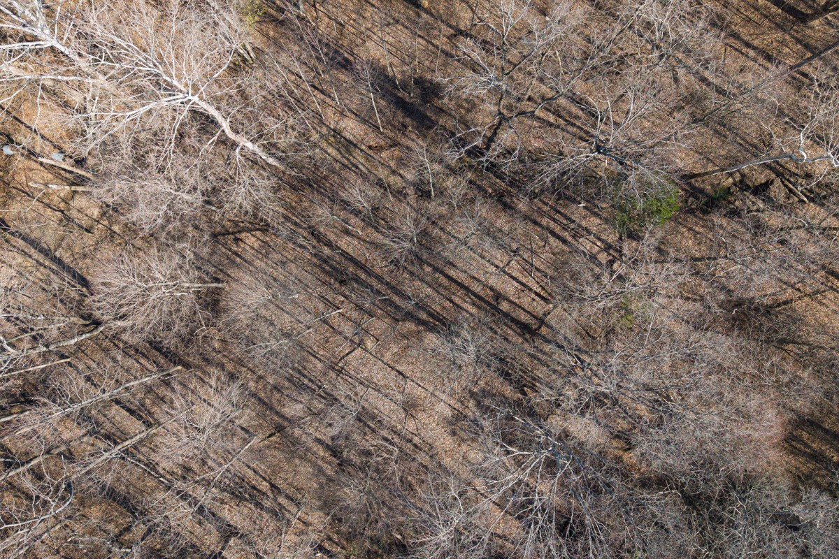 782 B New Deal Potts Road Cottontown, TN 37048 - Photo 19 of 21 a view of a yard