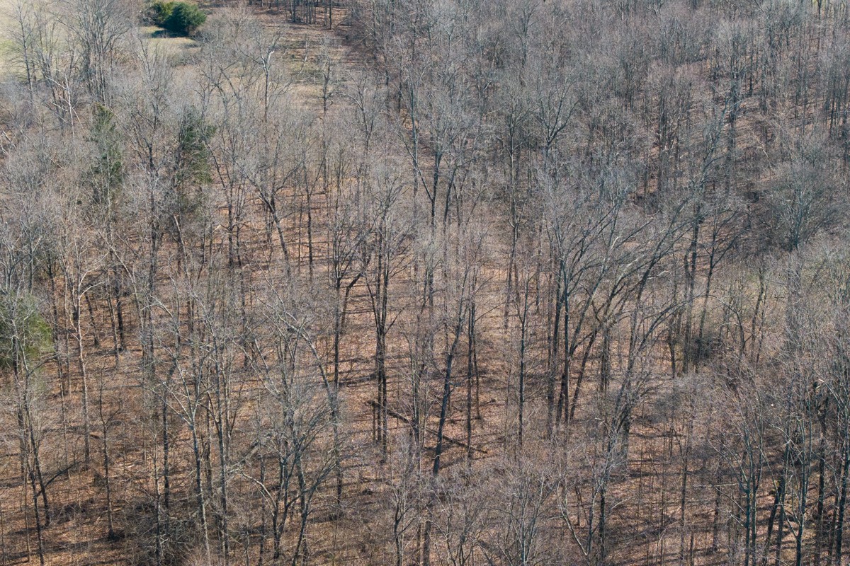 782 B New Deal Potts Road Cottontown, TN 37048 - Photo 20 of 21 a close up of a white wall