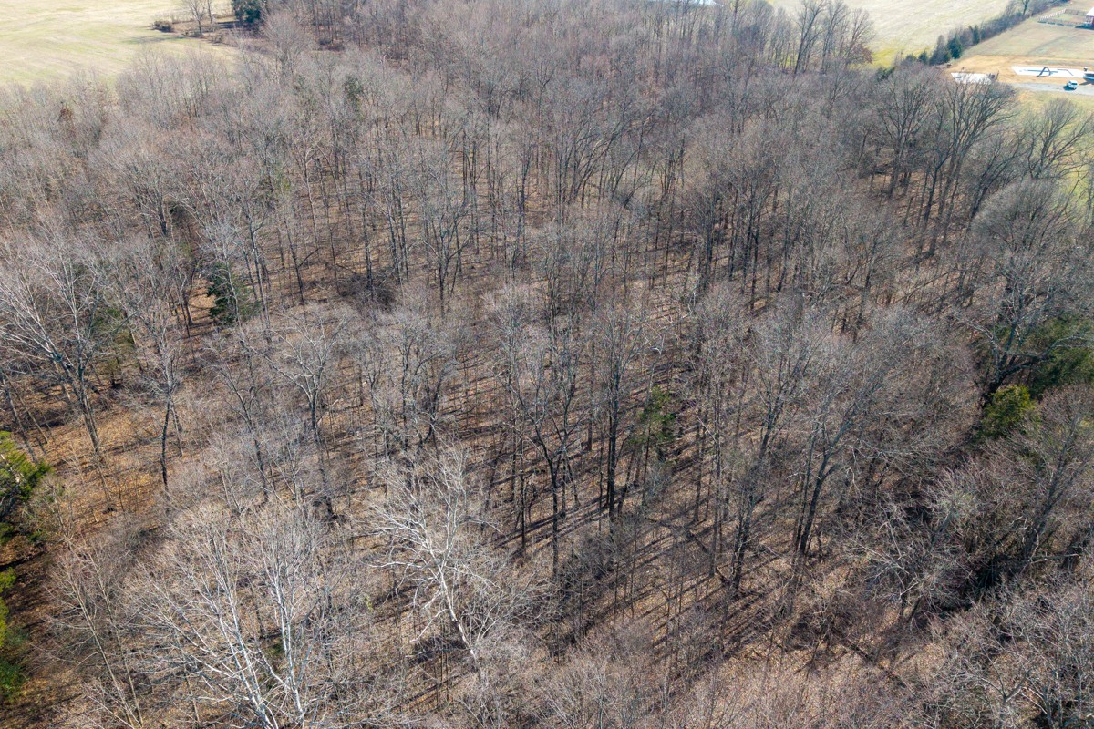 782 B New Deal Potts Road Cottontown, TN 37048 - Photo 21 of 21 a view of a dry yard