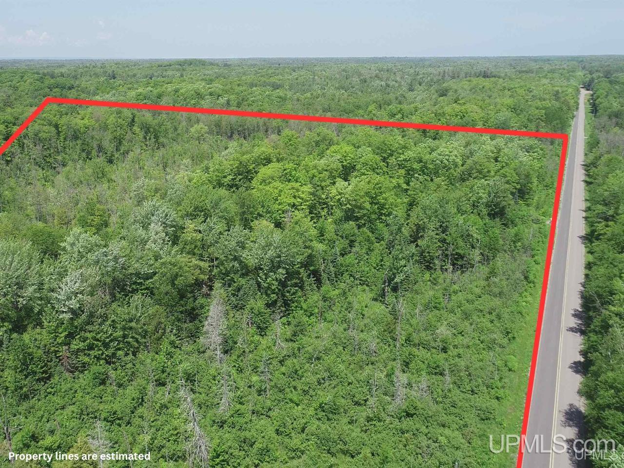 40-acres 40-acres Maple Grove Road Skandia, MI 49885 - Photo 3 of 19