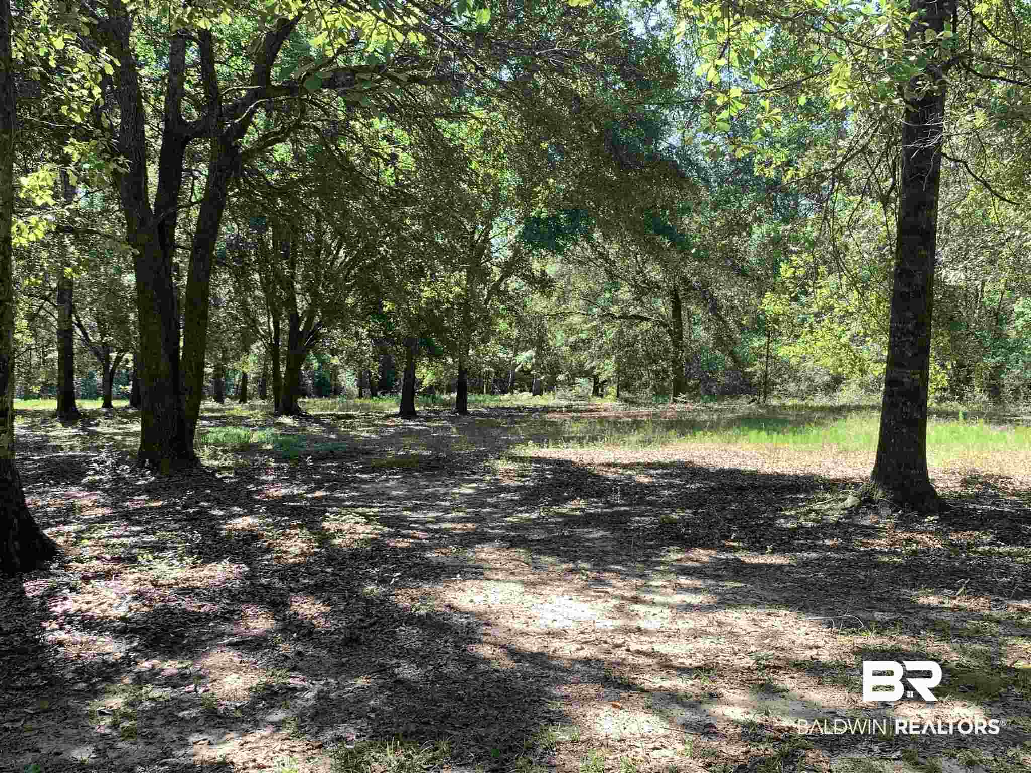 1 Truck Rte 17 Road Robertsdale, AL 36567 - Photo 19 of 25