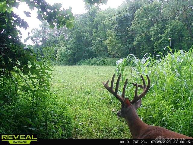 1650 Indian Road Moscow, OH 45153 - Photo 36 of 41 Gallery Image 36