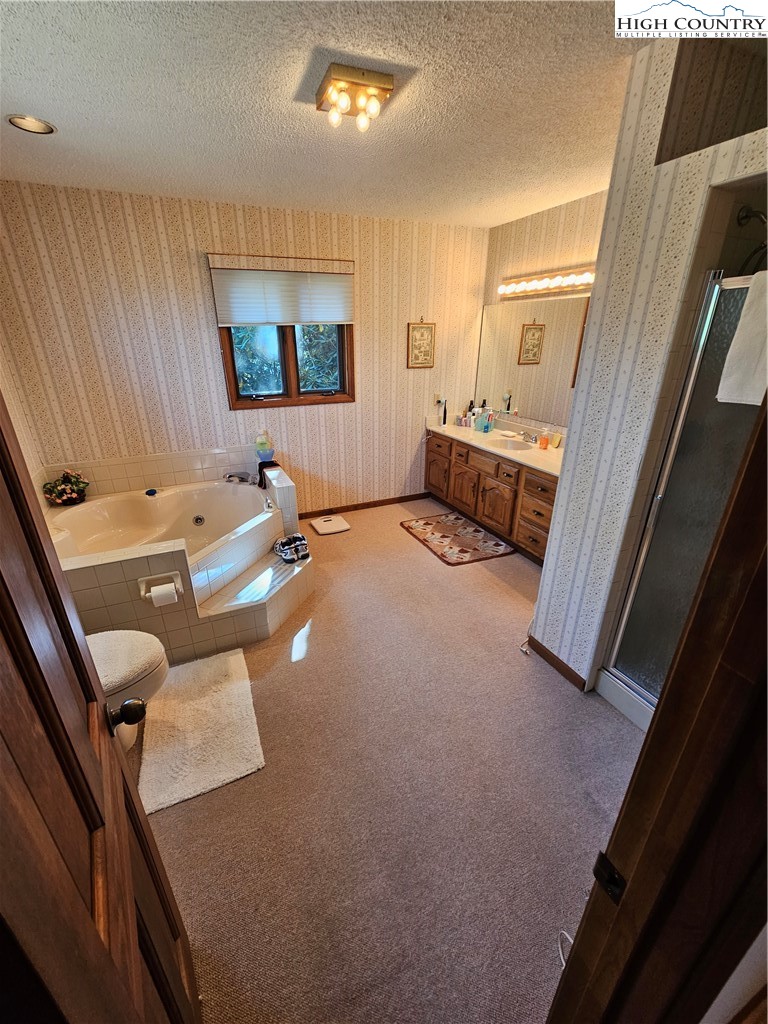 109 Foxgrape Hollow Road Beech Mountain, NC 28604 - Photo 14 of 50