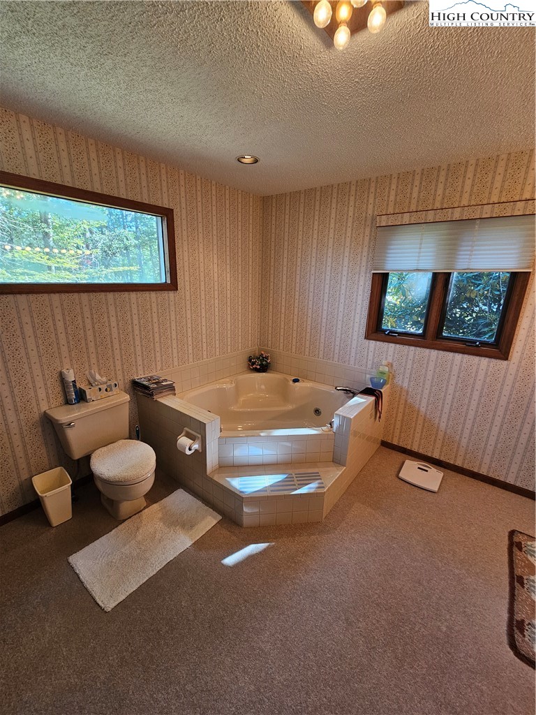 109 Foxgrape Hollow Road Beech Mountain, NC 28604 - Photo 16 of 50