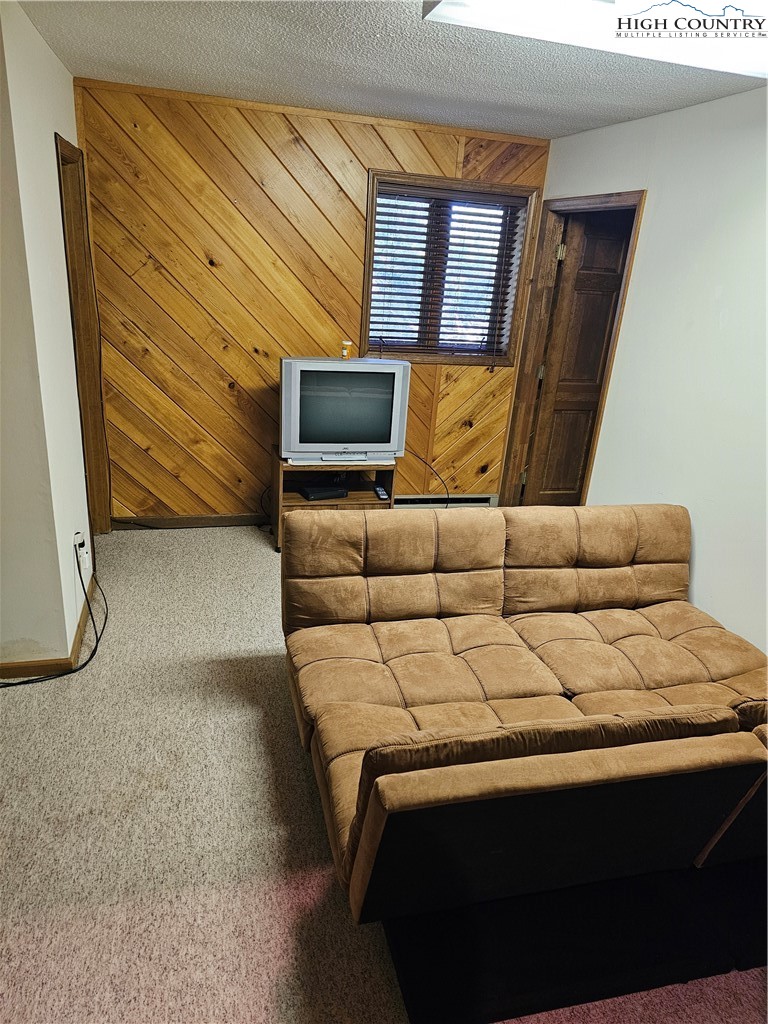 109 Foxgrape Hollow Road Beech Mountain, NC 28604 - Photo 25 of 50 a living room with furniture and a flat screen tv