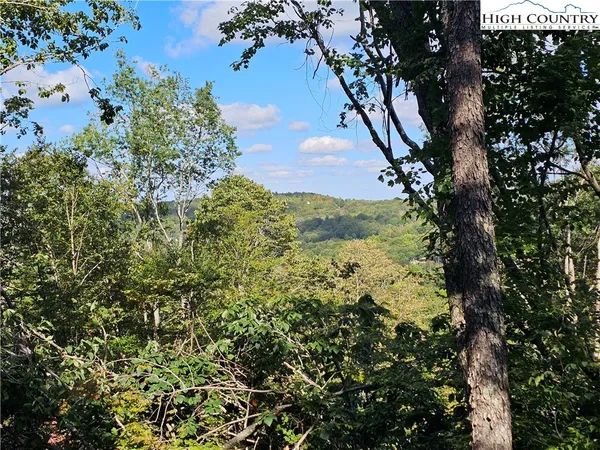 $585,000 | 109 Foxgrape Hollow Road, Beech Mountain, NC 28604