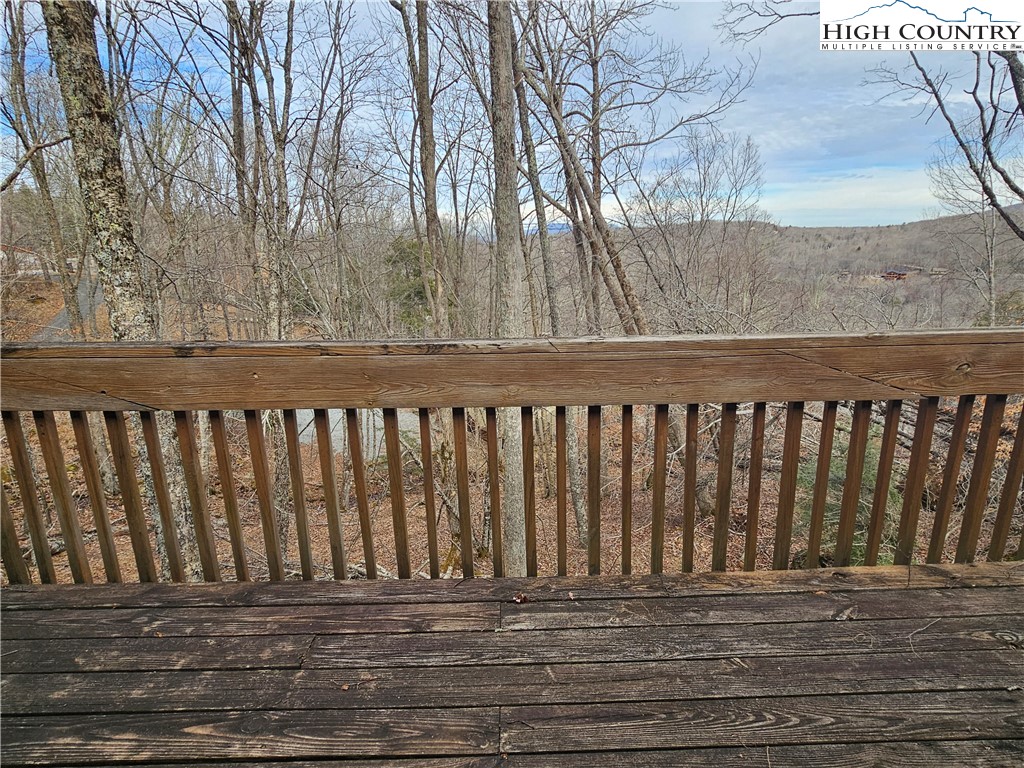 109 Foxgrape Hollow Road Beech Mountain, NC 28604 - Photo 34 of 50