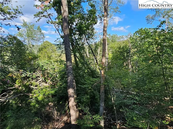 $585,000 | 109 Foxgrape Hollow Road, Beech Mountain, NC 28604