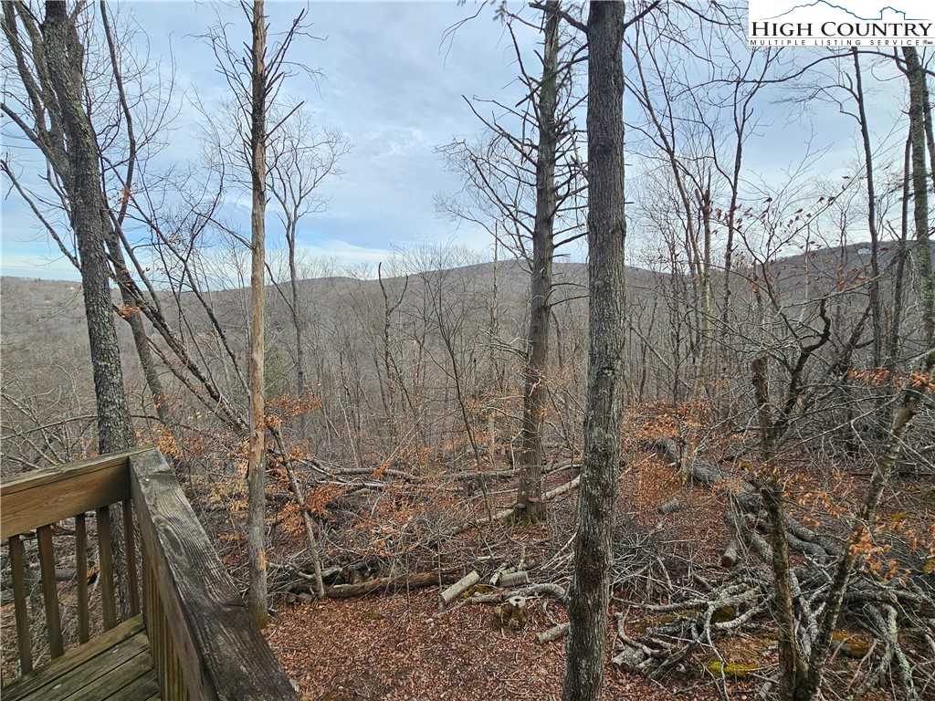 109 Foxgrape Hollow Road Beech Mountain, NC 28604 - Photo 38 of 50 a view of a backyard of the house