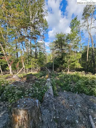 $585,000 | 109 Foxgrape Hollow Road, Beech Mountain, NC 28604