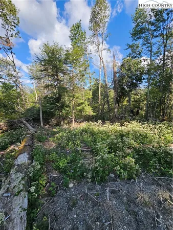 $585,000 | 109 Foxgrape Hollow Road, Beech Mountain, NC 28604