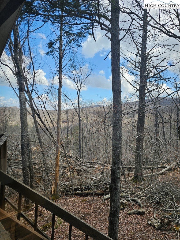 109 Foxgrape Hollow Road Beech Mountain, NC 28604 - Photo 42 of 50 a view of a forest with a tree
