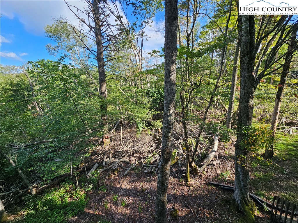 109 Foxgrape Hollow Road Beech Mountain, NC 28604 - Photo 43 of 50