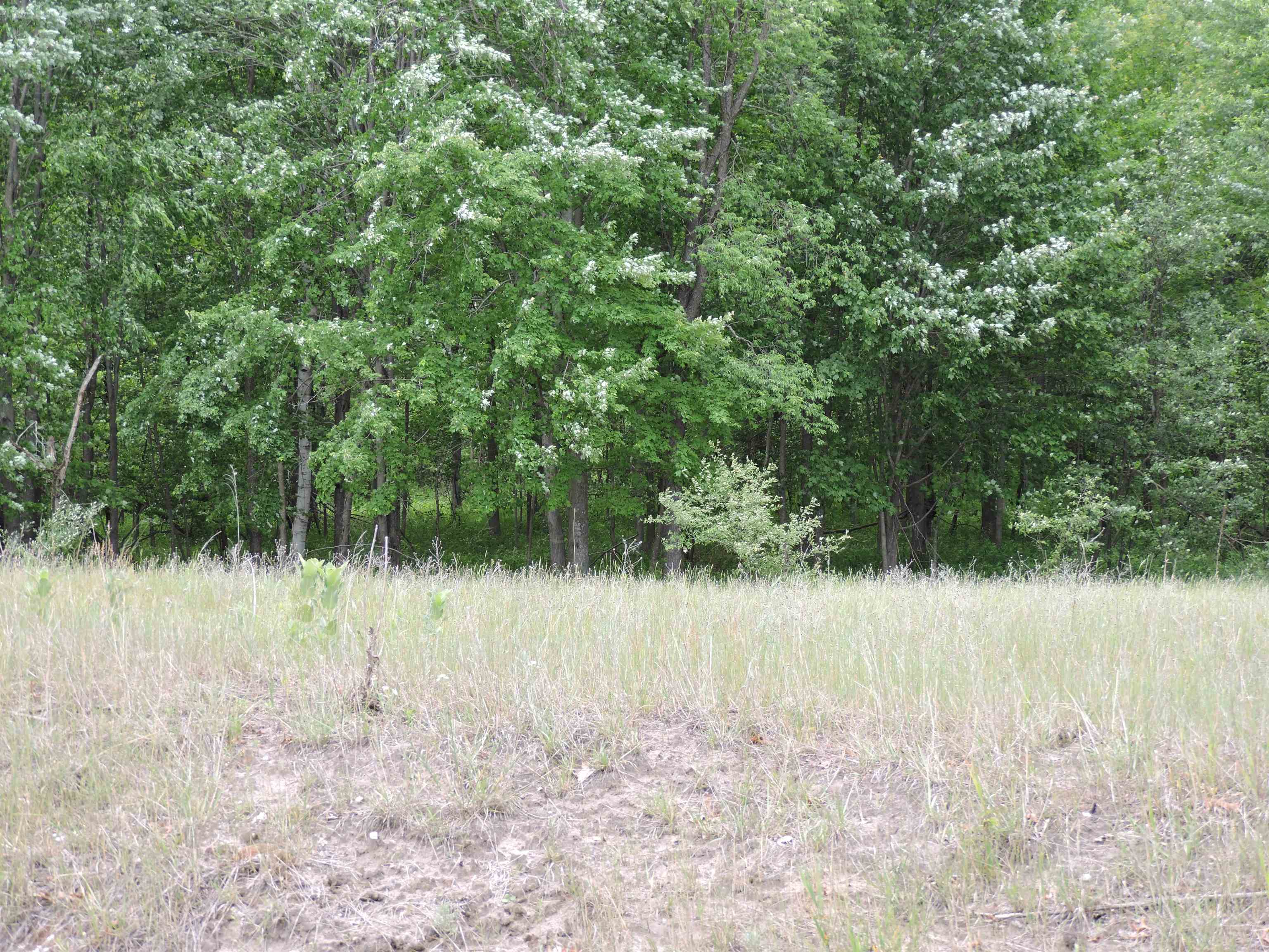 6686 Keystone Road Turner, MI 48765 - Photo 22 of 30