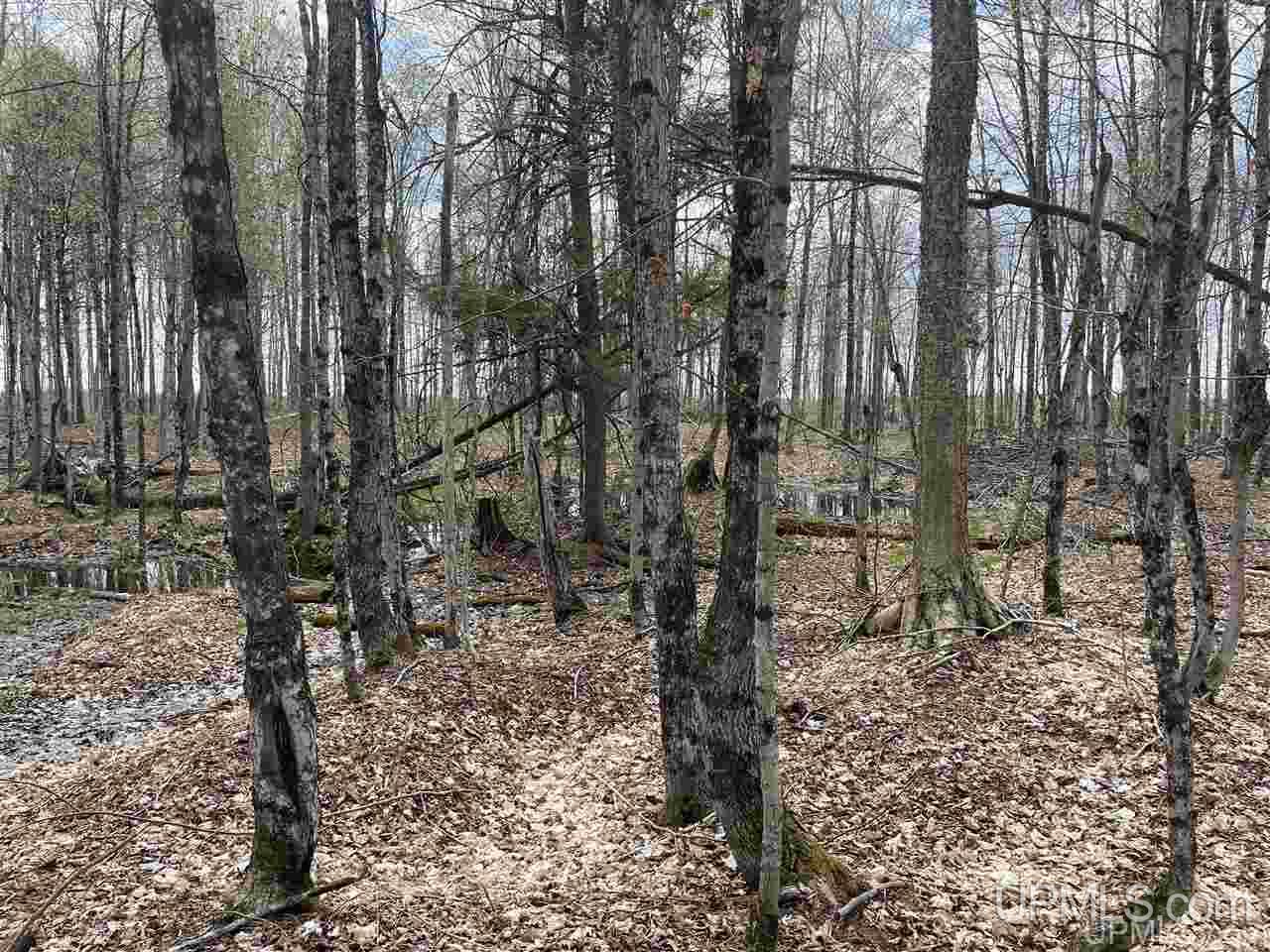Tbd Tbd Truax Road, Unit 1 Cornell, MI 49818 - Photo 33 of 43