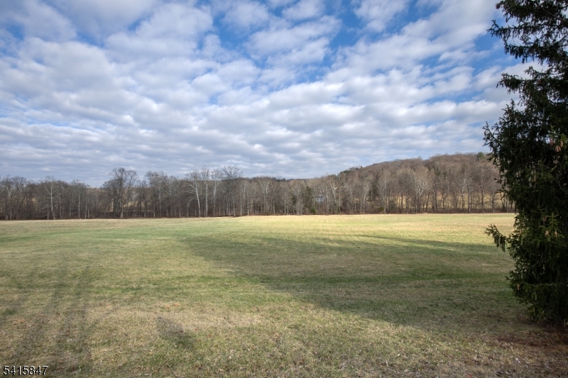 37 Branch Road Peapack-Gladstone, NJ 07931 - Photo 7 of 15