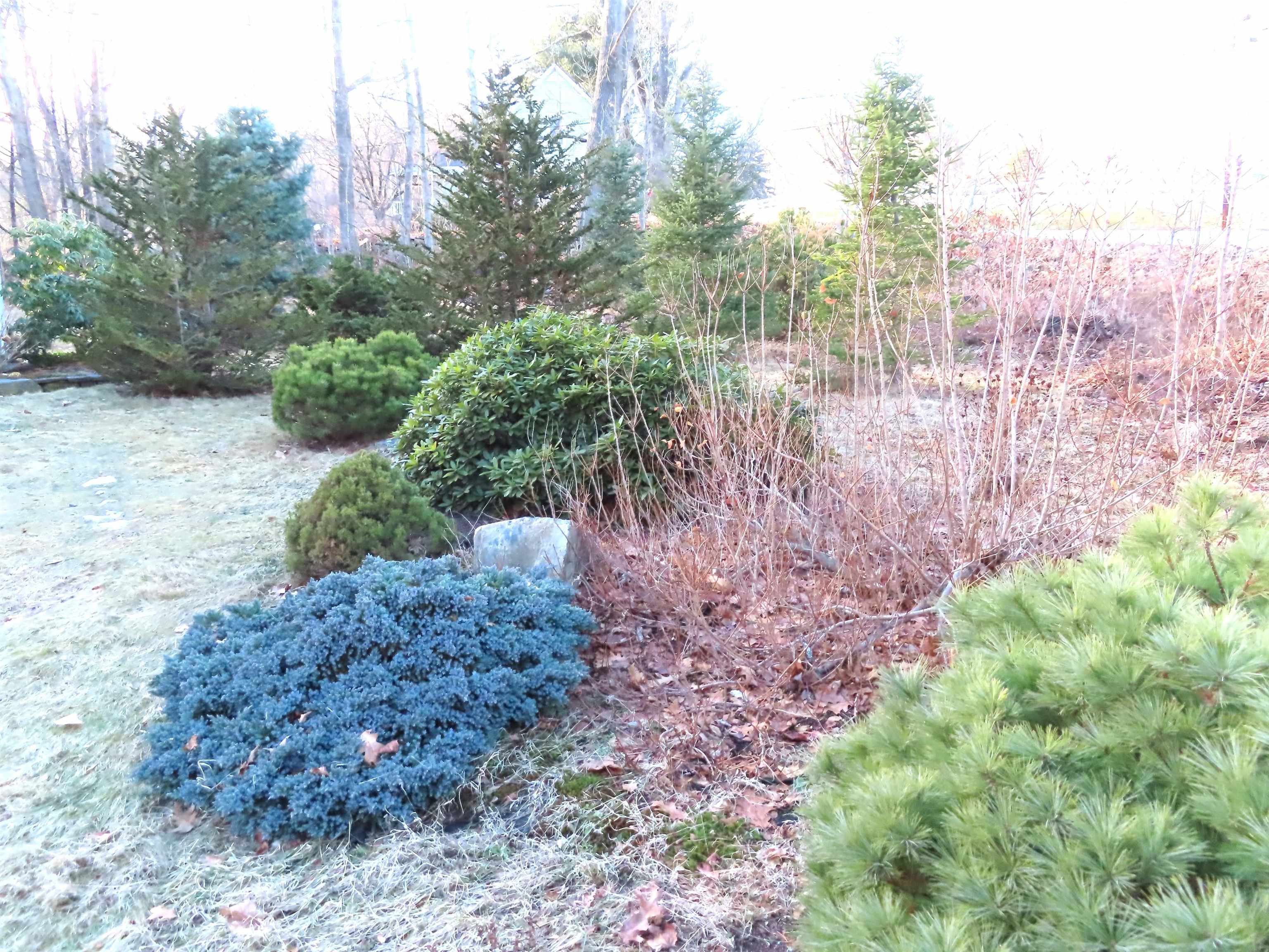 121 Pond Brook Road, Unit 4A001 Chesterfield, NH 03466 - Photo 55 of 55