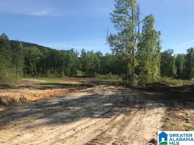 18 County Road, Unit 30 Goodwater, AL 35072 - Photo 13 of 13 Gallery Image 13