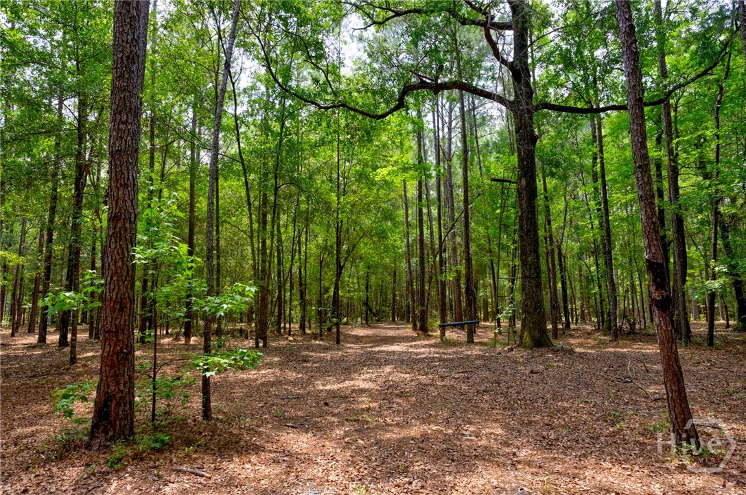 4000 Old River Road South Brooklet, GA 30415 - Photo 37 of 40