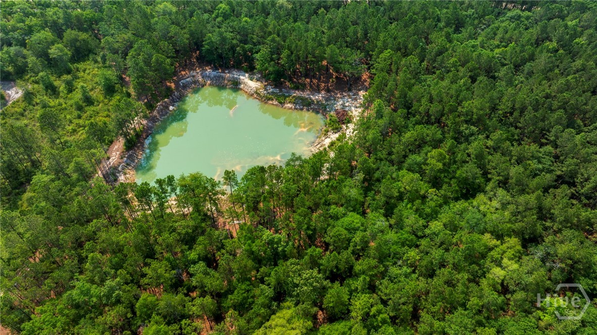 4000 Old River Road South Brooklet, GA 30415 - Photo 38 of 40