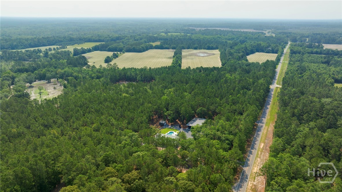 4000 Old River Road South Brooklet, GA 30415 - Photo 39 of 40